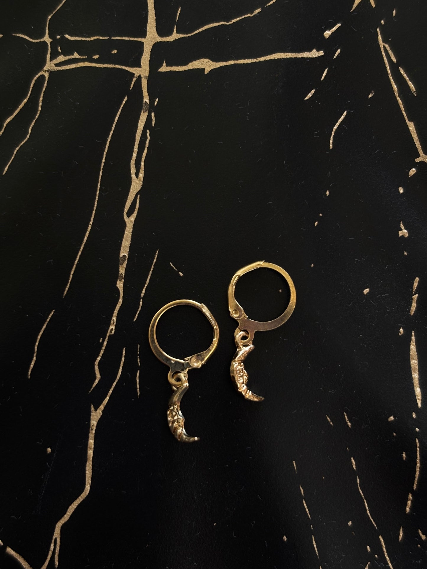 Golden Crescent Hoop Earrings