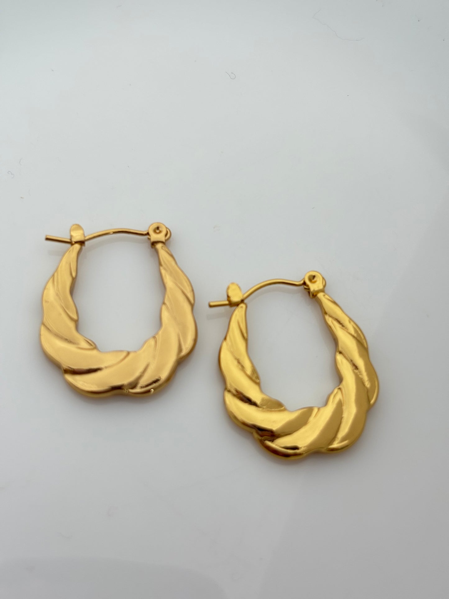 Gold Stainless Steel Hoop Earrings
