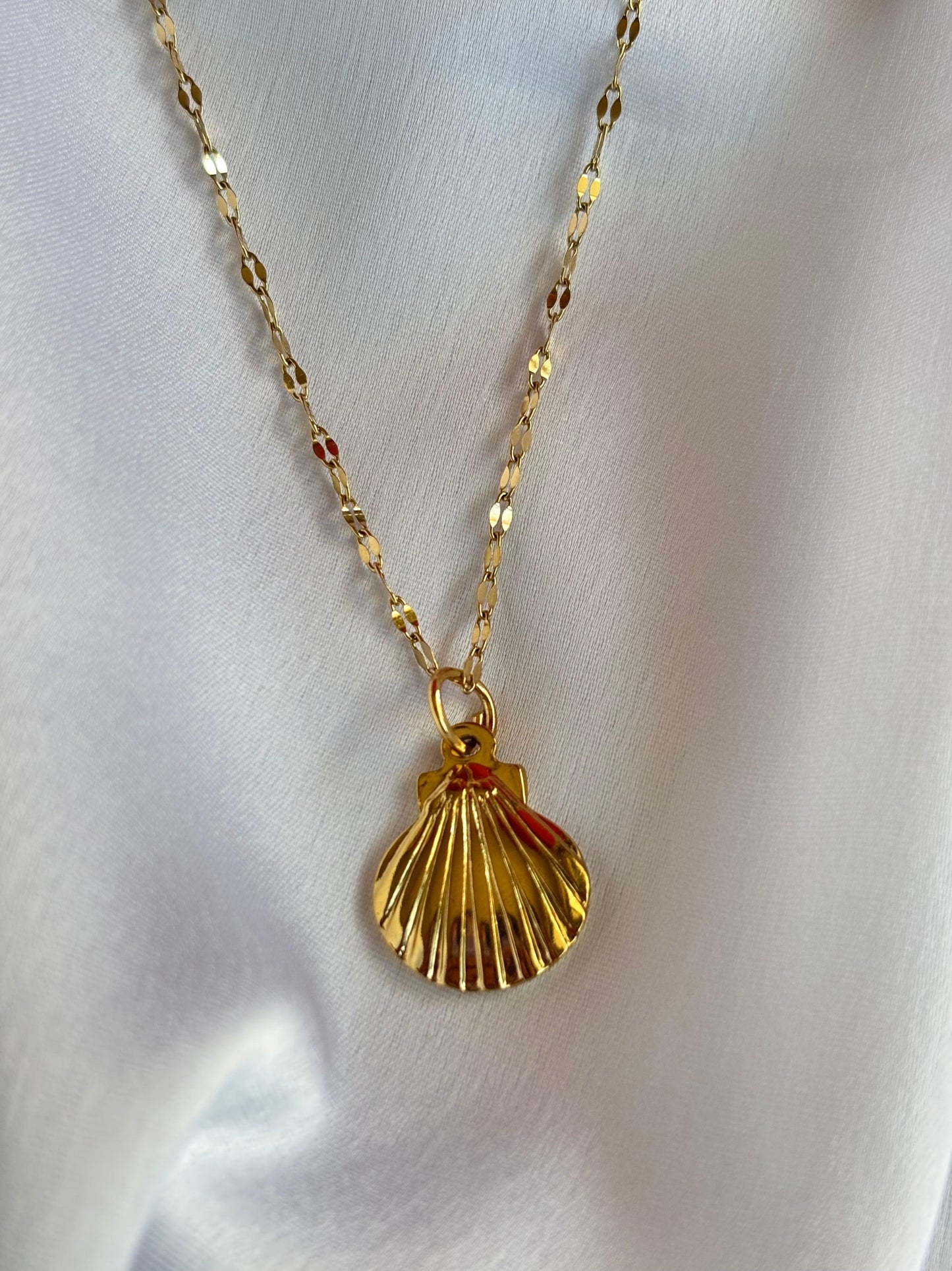 Golden Seashell Pendant Necklace - Curvy Jewels