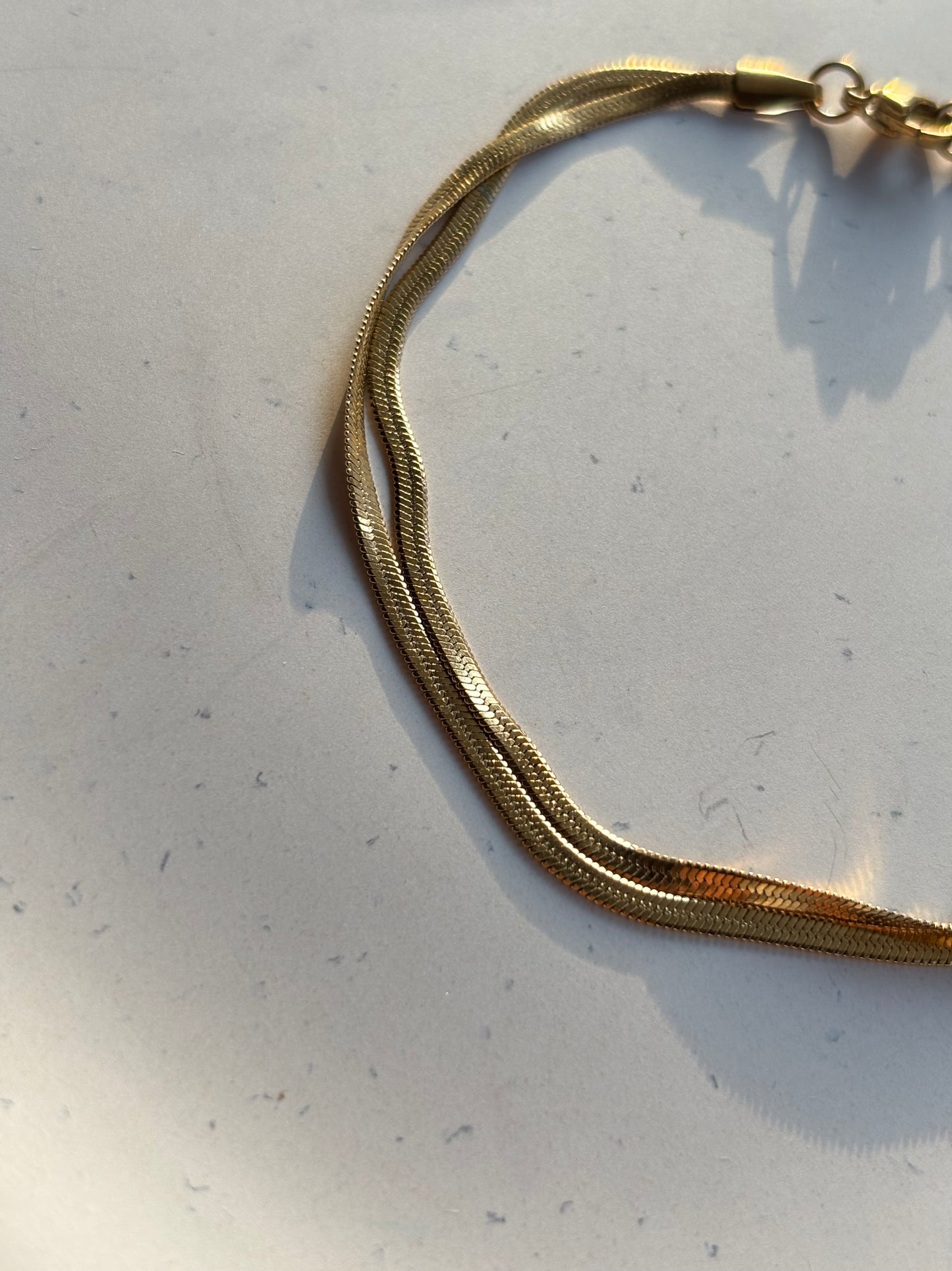 Double Layered Snake Chain Anklet