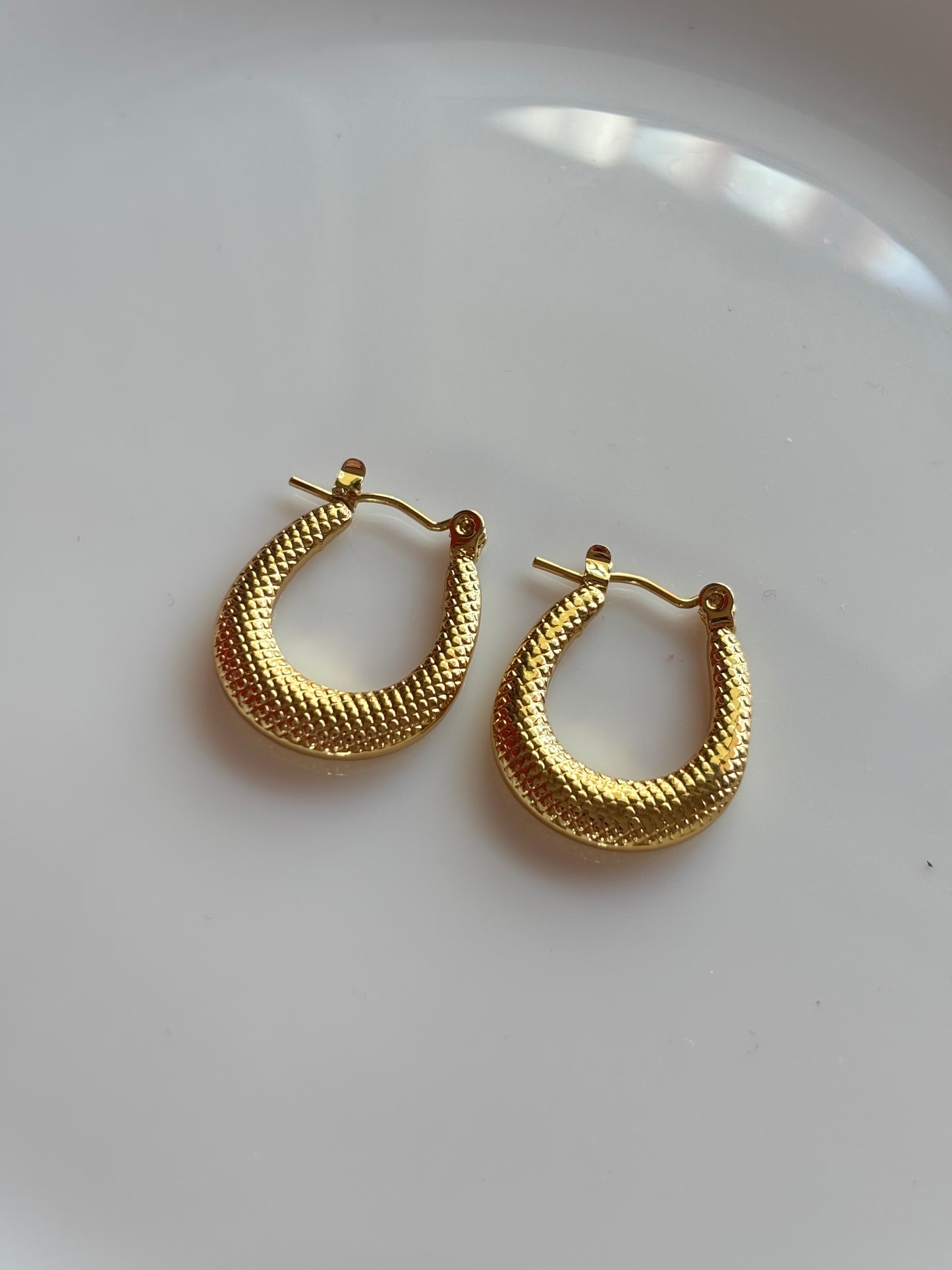 Textured Gold Stainless Steel Hoop Earrings