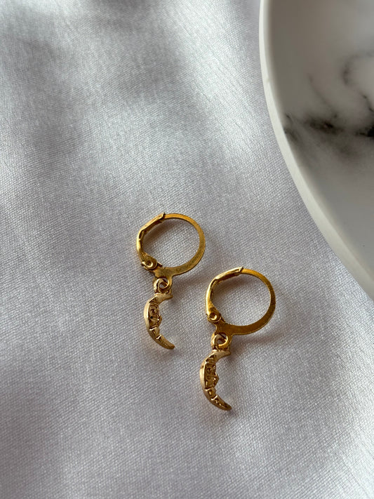 Golden Crescent Hoop Earrings